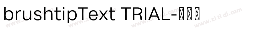 brushtipText TRIAL字体转换